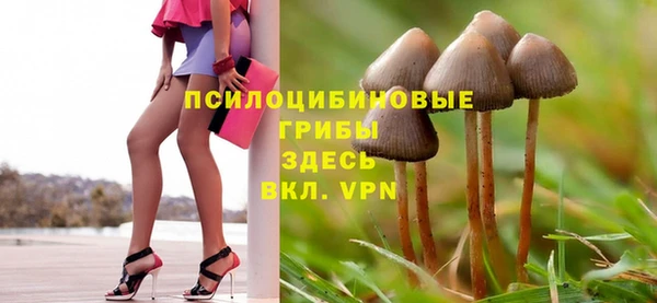 таблы Арсеньев